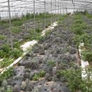 동곡농장 이미지