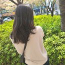 살롱(Salon)12.4