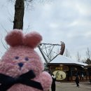 기운찬하우스 | [게임/피크민블룸] 설에 피크민하러 서울랜드 간 후기(피크민 얘기 별로 없음)