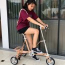 With Peopl 이미지