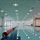 넘버원수영이야기 이미지