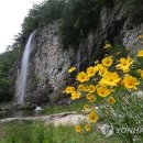 지방792호 연합뉴스