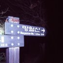 익스트림 &amp; 다이나믹했던 부산11산 산행 이미지