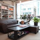 더샵헤어 이미지