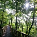 본부동 화장실 이미지