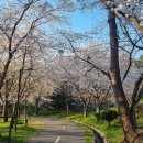 너릿재길1 이미지