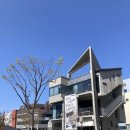 강릉 솔올미술관 개관전 &lt;루치오 폰타나 : 공간·기다림&gt; 전시 후기