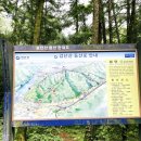 현충탑진입로 이미지