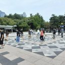 건강하개 이미지