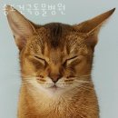 송도건국동물병원 이미지