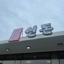 세화로128번길 | [국내여행/제주여행]4박 5일 제주도 여행 - 3일차 4일차 5일차 (+경비)