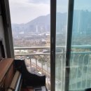 일동상회 이미지