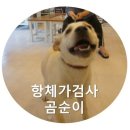 365 신원당 동물병원 이미지