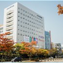 홈마트앞 버스정류장 이미지