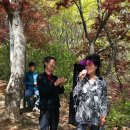 부여(임천)-15 이미지