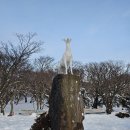 하예동-14 | [제주도 여행] 5박 6일 제주도 여행 4일차 기록 (250131) / 1100고지, 예래포구, 포시낭코지,카페오션...