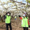 만봉농장 이미지