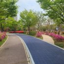 축구센터 산책로 이미지