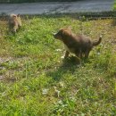 고운나라어린이집 이미지