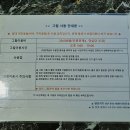 리틀비펜션