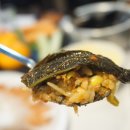 중앙동256 이미지