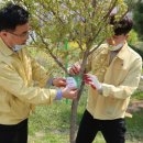 금촌유아숲체험원 이미지