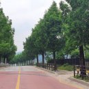 별자리농원 이미지