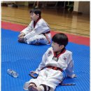 태권도하는아이들 이미지