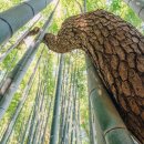 보리마을농장 이미지