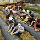 양성중학교 이미지