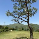 벌교파3골프연습장 이미지