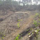 은행목장 이미지