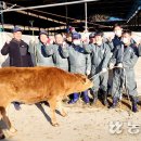 김동기축사 이미지