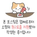 케이투 카센타 이미지