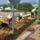 화신로-5 이미지