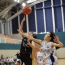 갑천초교 이미지