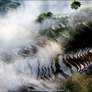 하늘계단 이미지