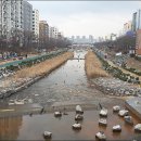 홍연교밑 이미지