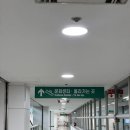 [후기] 롯데마트 문화센터 태교요가