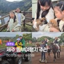 세계승마클럽 | 아이와 함께하는 제주 동부투어 코스｜자연·체험·카페까지 완벽한 하루