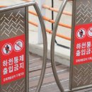 물 차오르는데 “마! 내 목숨이다 <b>비키</b>라” 통제 뚫고 돌진