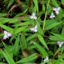 공릉천변 이미지