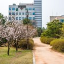 둔산 선사유적지 이미지