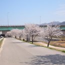 원주천3길 이미지