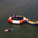 나라의 보배 이미지