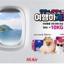 하이펫츠 이미지