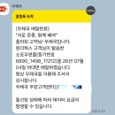 핑크로켓 925 실버 라인 3 아이콘 귀걸이 리뷰&amp;후기