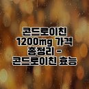 콘드로이친 1200mg 가격 총정리 - 콘드로이친 효능, 지성 콘드로이친, 콘드로이친 1200mg