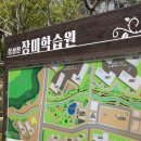 소미담부산일광점 | [기장, 소미담] 기장 일광 소미담 신도시 푸르지오 장미공원 떡카페 눈꽃빙수 일광역 가성비 테이크아웃...