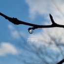 하늘내린공인중개사사무소 이미지